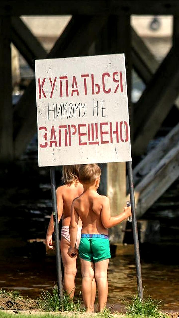 Все пляжи Петербурга признаны небезопасными для купания