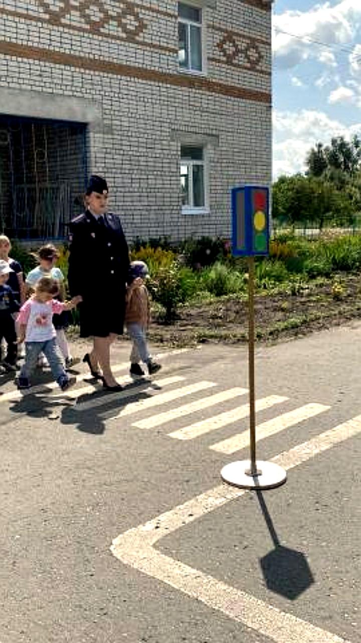 В Луганской Народной Республике стартует профилактическое мероприятие «Пешеходный переход»