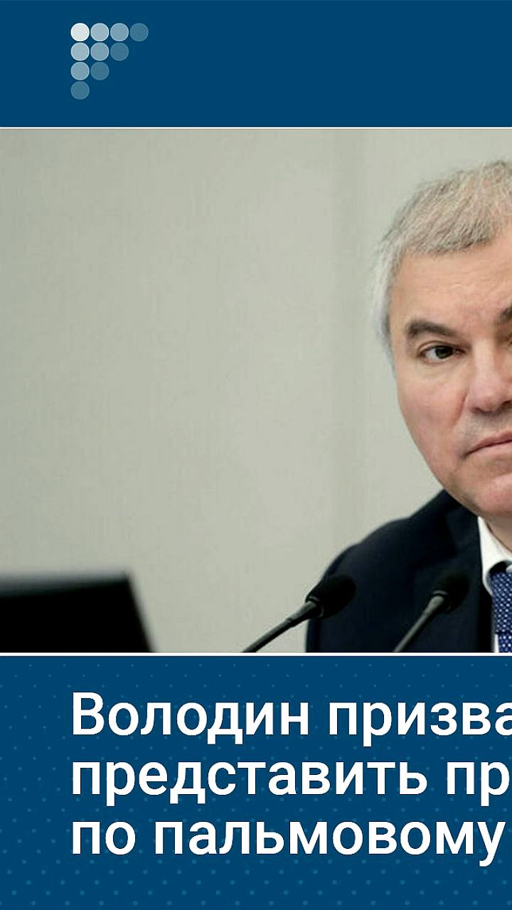 Вячеслав Володин призывает Минэкономразвития к конкретным предложениям по регулированию оборота пальмового масла