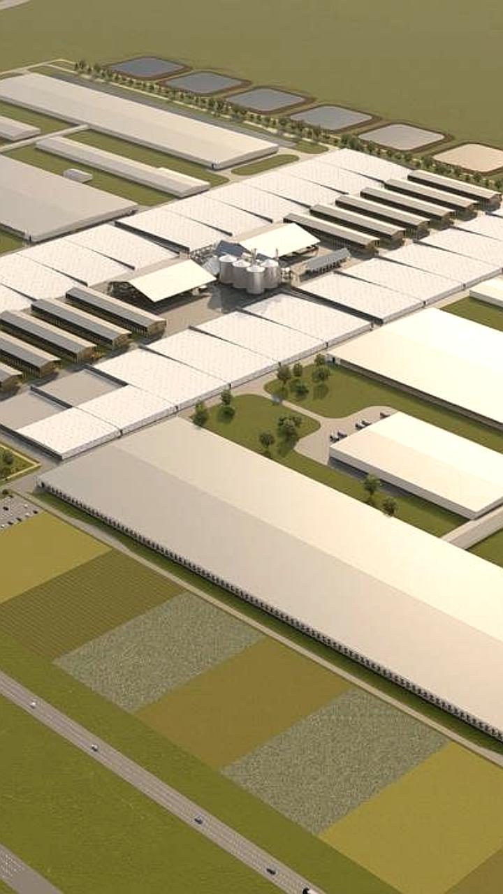 Начато строительство крупнейшего животноводческого комплекса в России