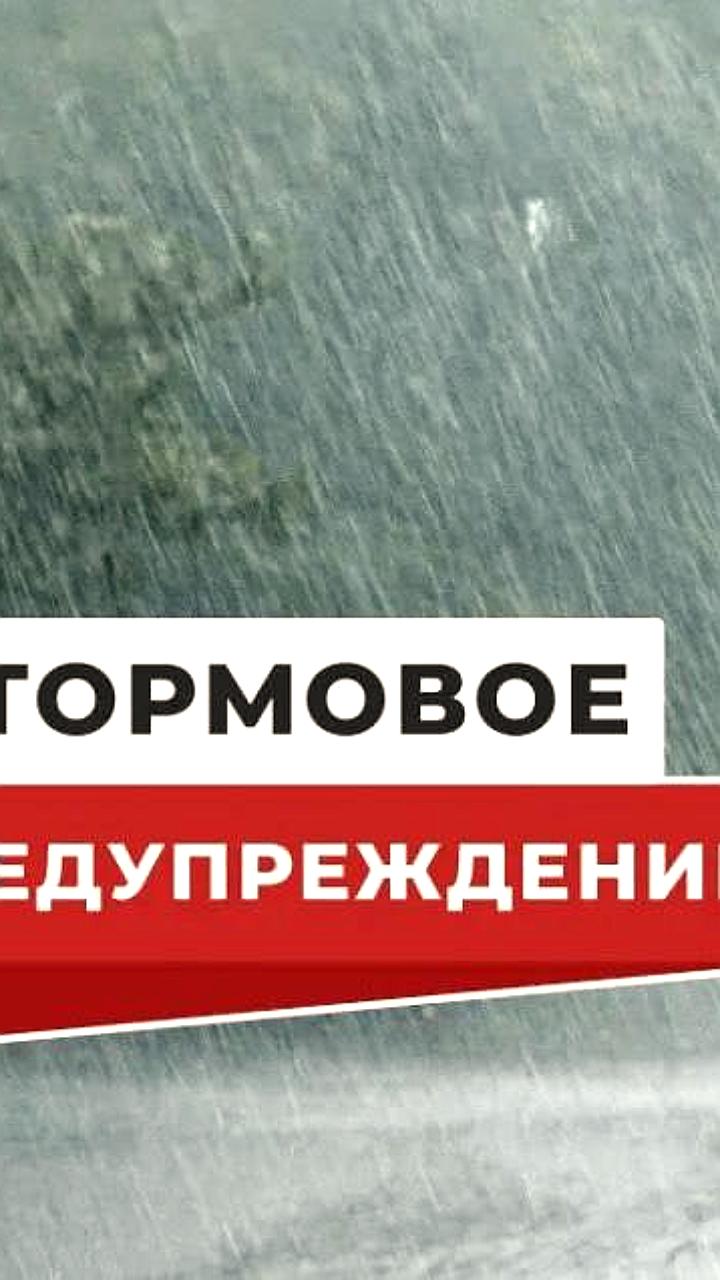 Москву и Подмосковье ожидают дожди и сильный ветер: рекомендации для водителей