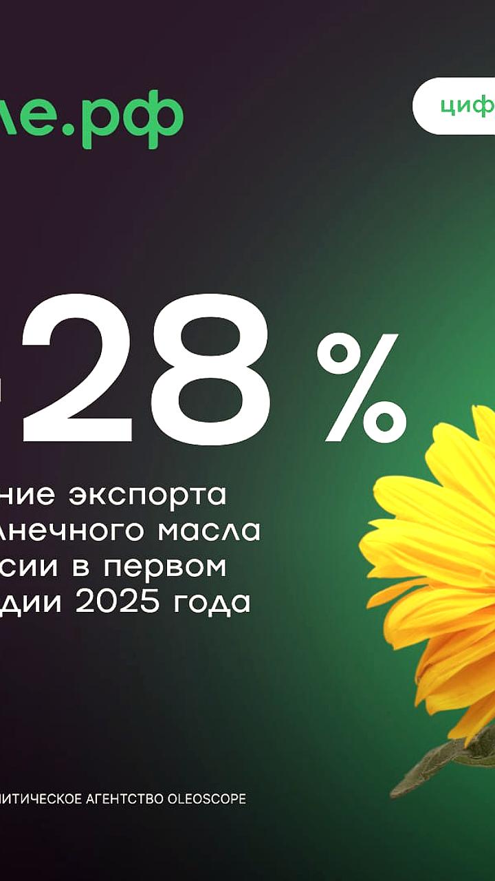 Снижение экспорта российского зерна в июле 2025 года