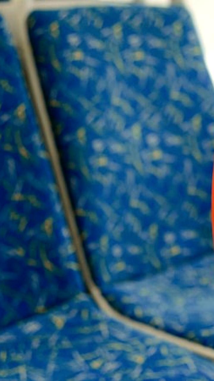 Сокращение безбилетников в петербургском транспорте на 31 тысячу за полгода