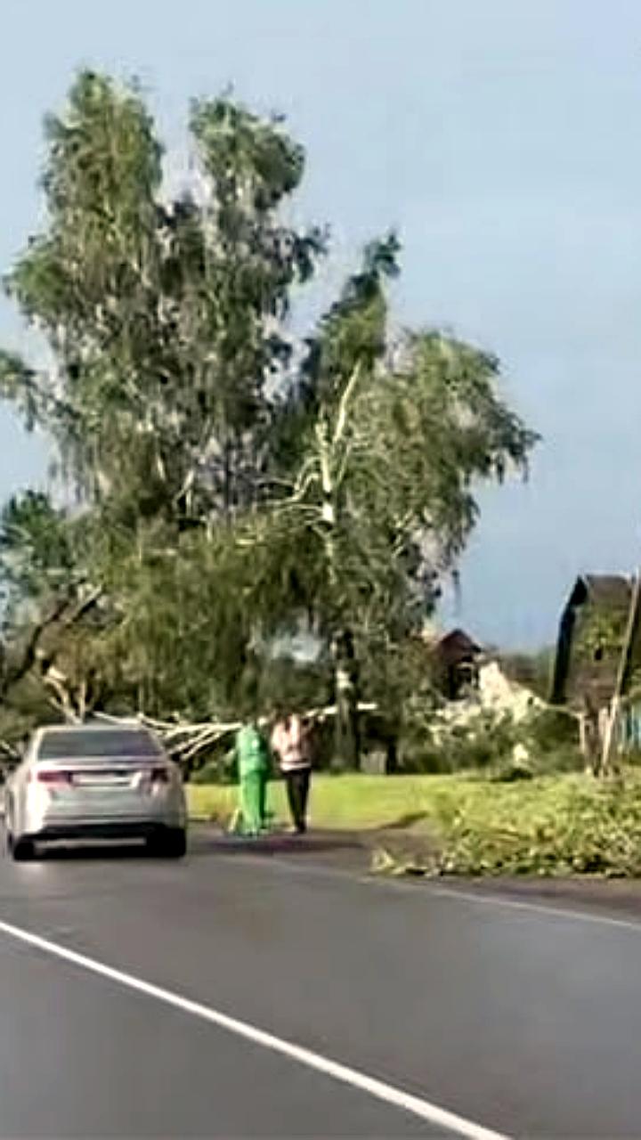 Сильный ветер в Могилеве унес жизнь женщины и привел к травмам четырех человек