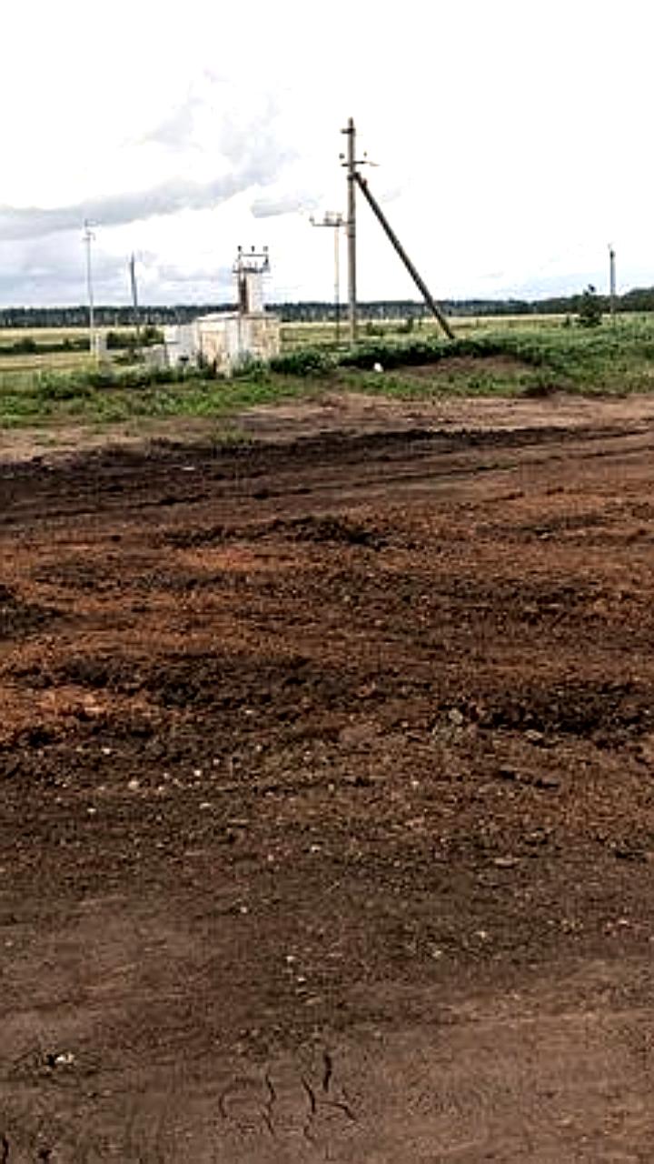 Разлив нефти в Кинель-Черкасском районе: завершены работы по рекультивации