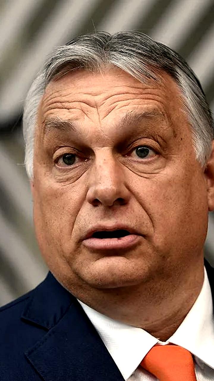 Венгрия отвергает членство Украины в ЕС из-за конфликта
