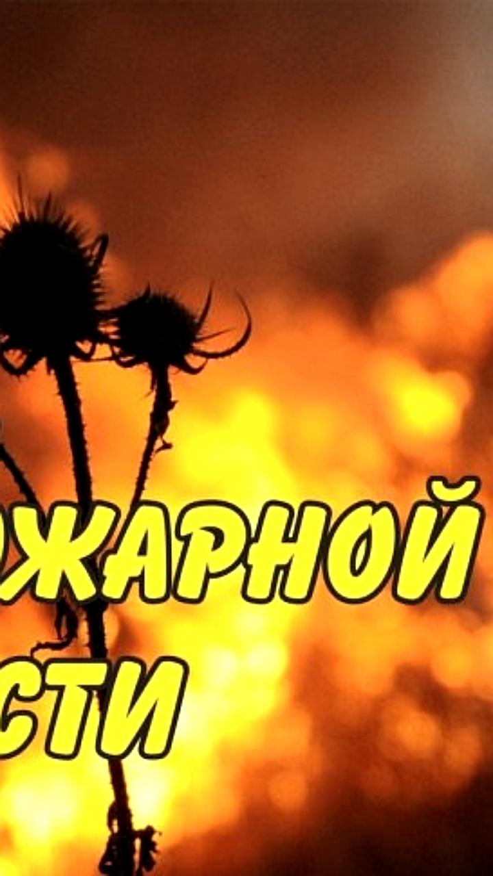 Повышенный класс пожарной опасности в Мурманской области и Краснодарском крае с 12 по 14 июля 2025 года