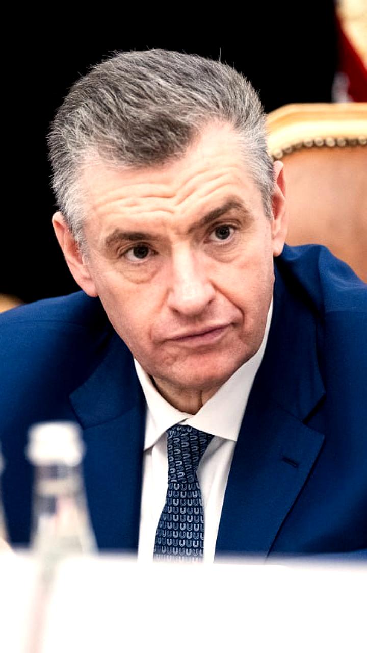 ЛДПР и Татьяна Голикова обсудили меры поддержки семей и демографическую стратегию