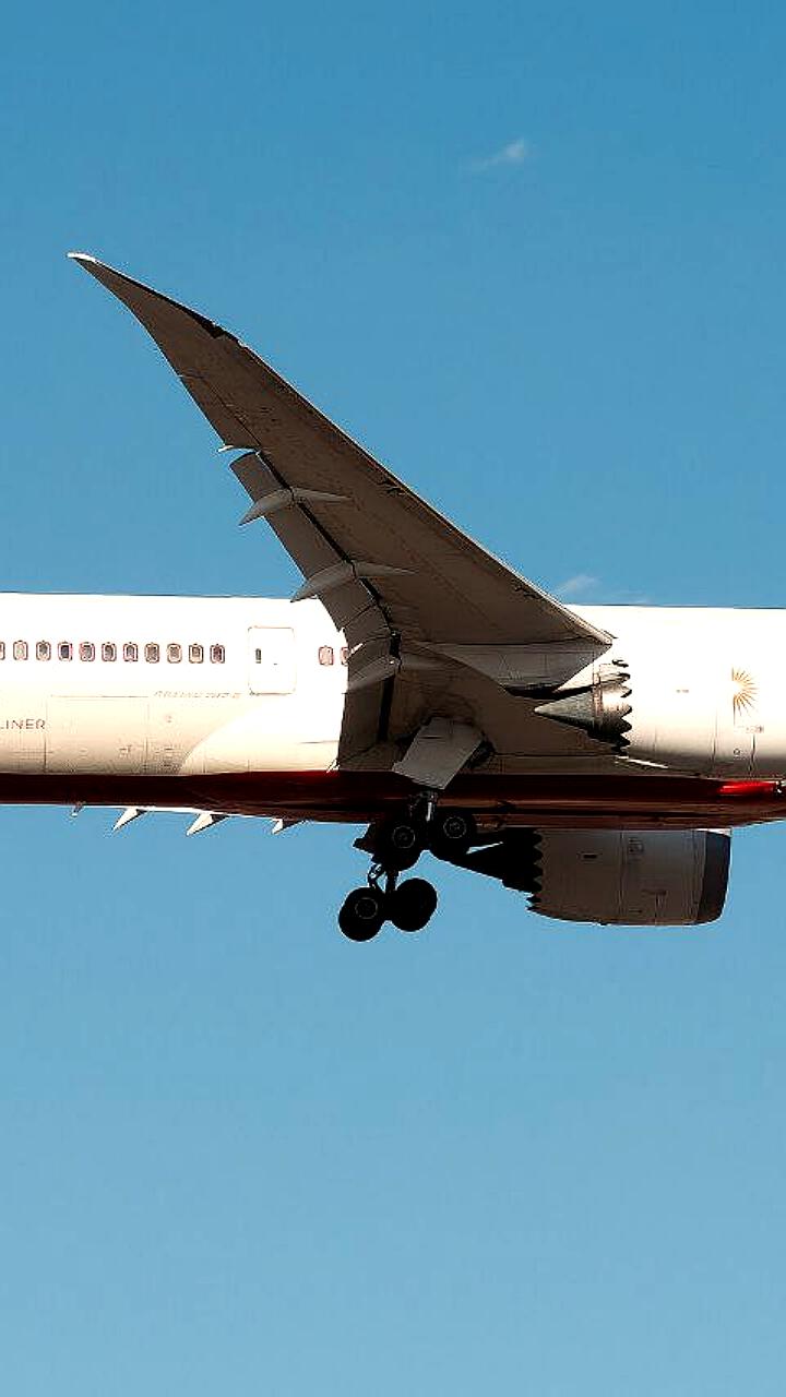 Предварительный отчет о катастрофе Boeing 787 Air India: расследование действий пилотов