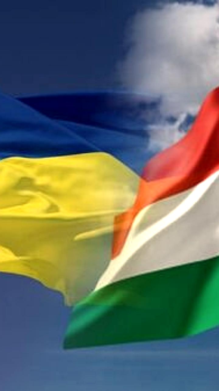 Протест у посольства Украины в Будапеште в память о венгре, убитом сотрудниками ТЦК