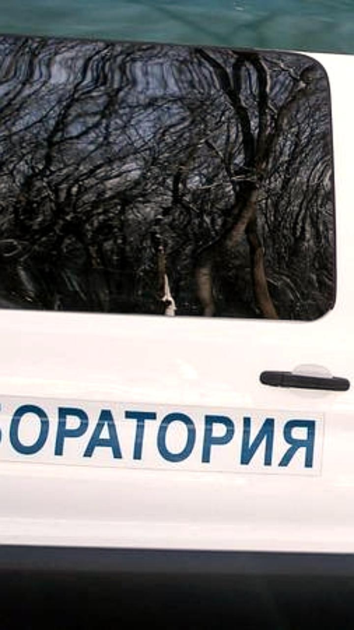 Мониторинг качества воздуха в Красноярске и Светлограде: лаборатории не выявили превышений
