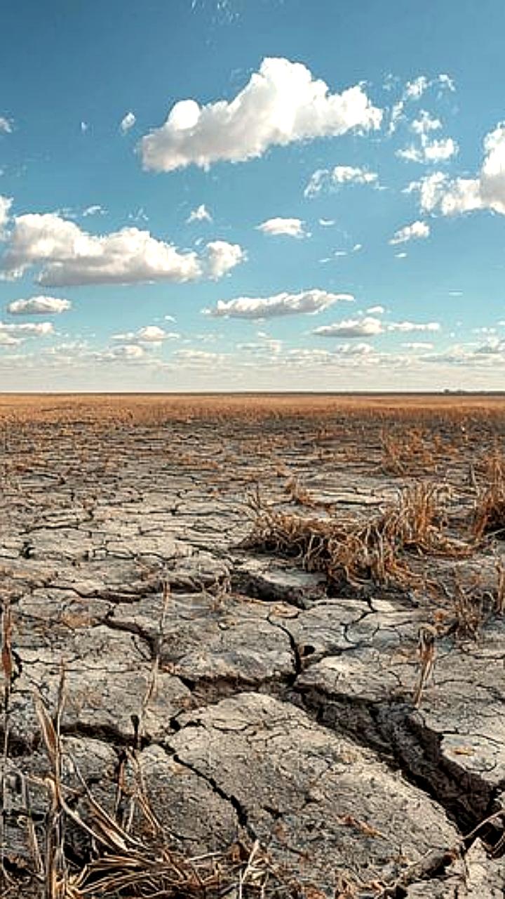 Запорожская область под угрозой засухи из-за изменения климата и разрушения Каховской ГЭС