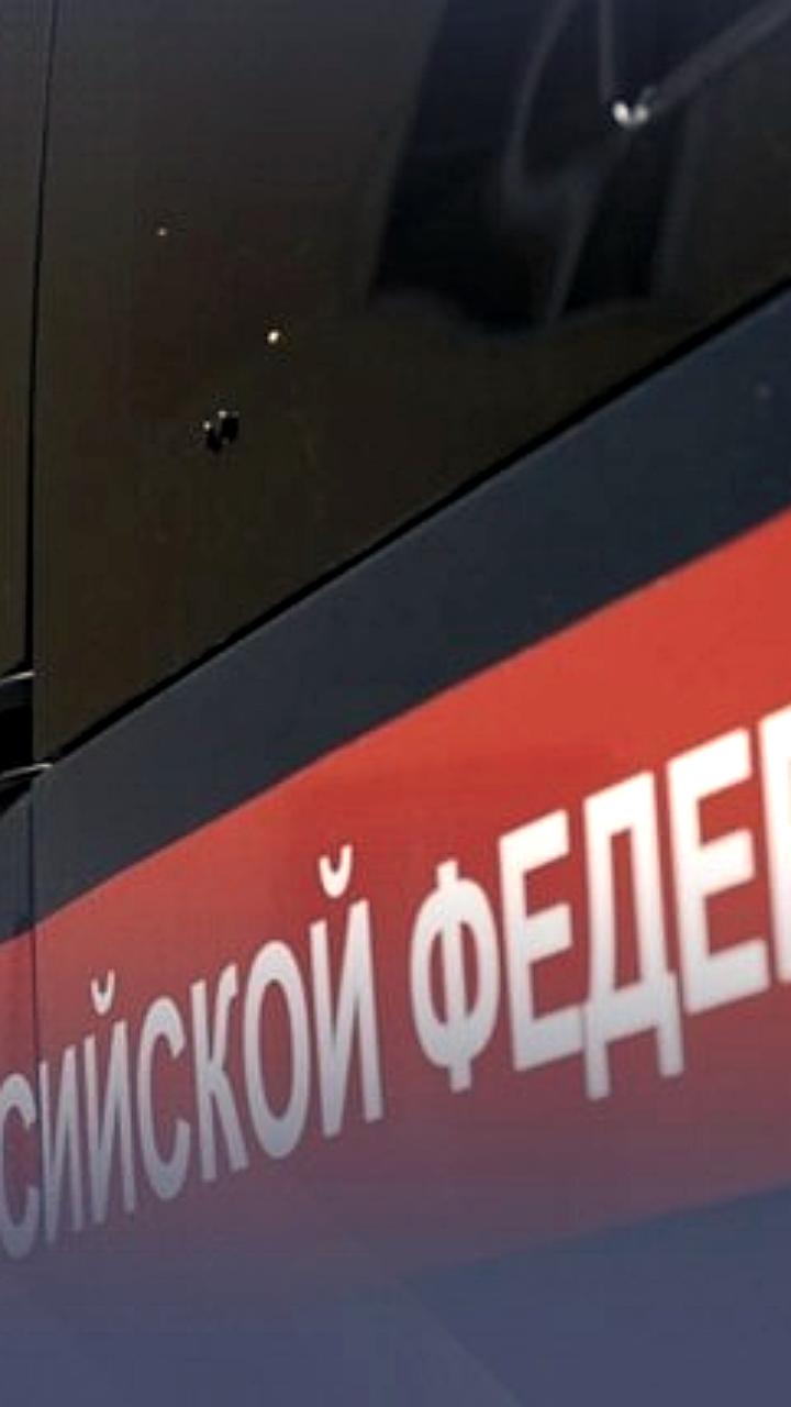 Суд приговорил москвича к двум годам работ за ДТП, унесшее жизнь девочки