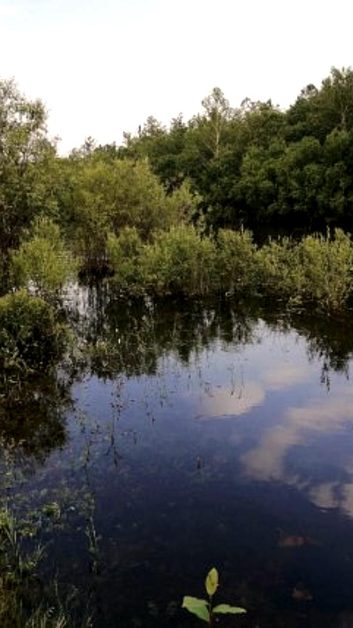 Ожидается подъем уровня воды на реках Алдан и Витим в Приангарье