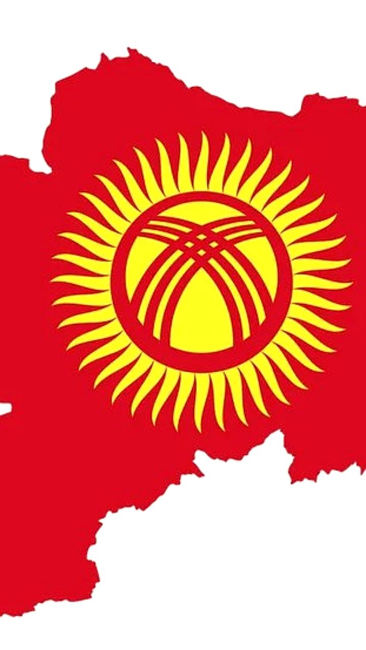 Изменения в таможенном регулировании Кыргызстана: упрощение процедур и внедрение электронной системы