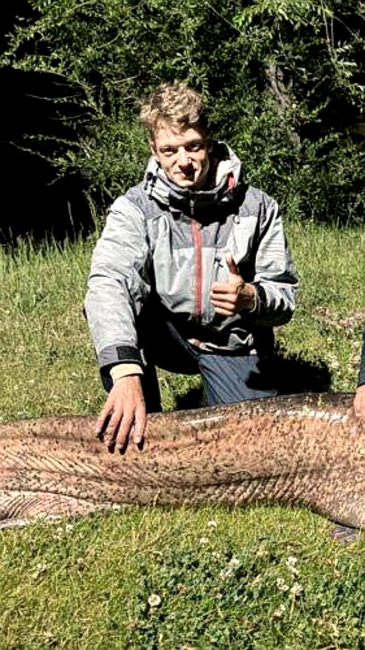 Рыбаки из Перми и Казани поймали гигантских сомов