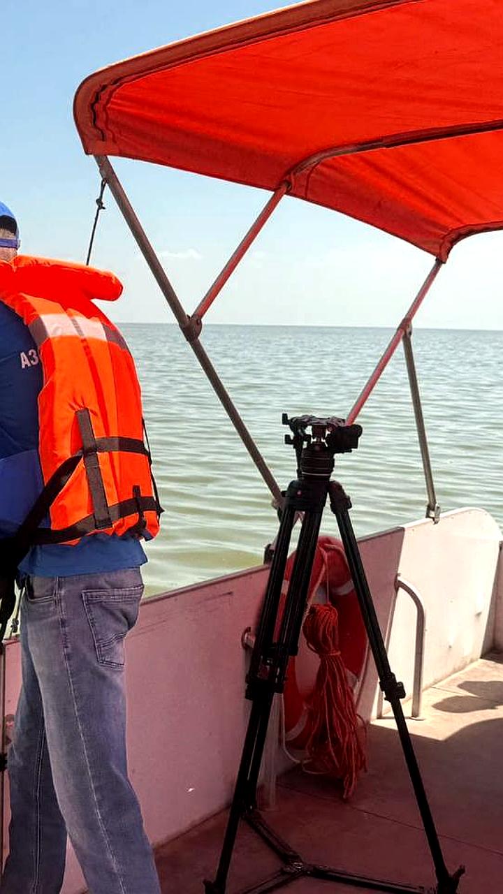 Качество воды в Черном море соответствует нормам, гражданам напоминают о пожарной безопасности