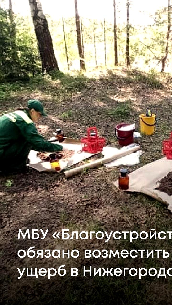 Росприроднадзор добивается компенсаций за экологические нарушения в Красноярском и Нижегородском регионах