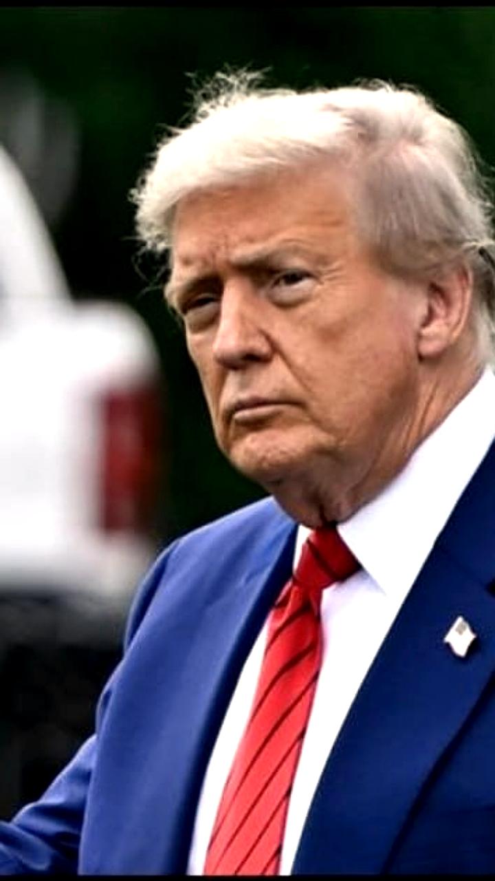 Зеленский и Трамп обсудили поддержку Украины и встречи с НАТО