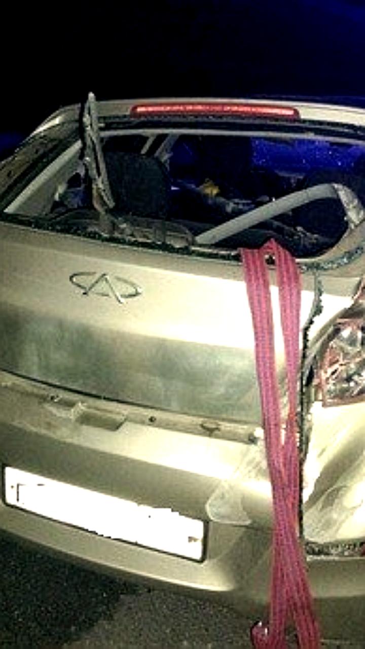Дорожная обстановка в Самарской области и Якутске: 73 ДТП за неделю и призыв к соблюдению ПДД