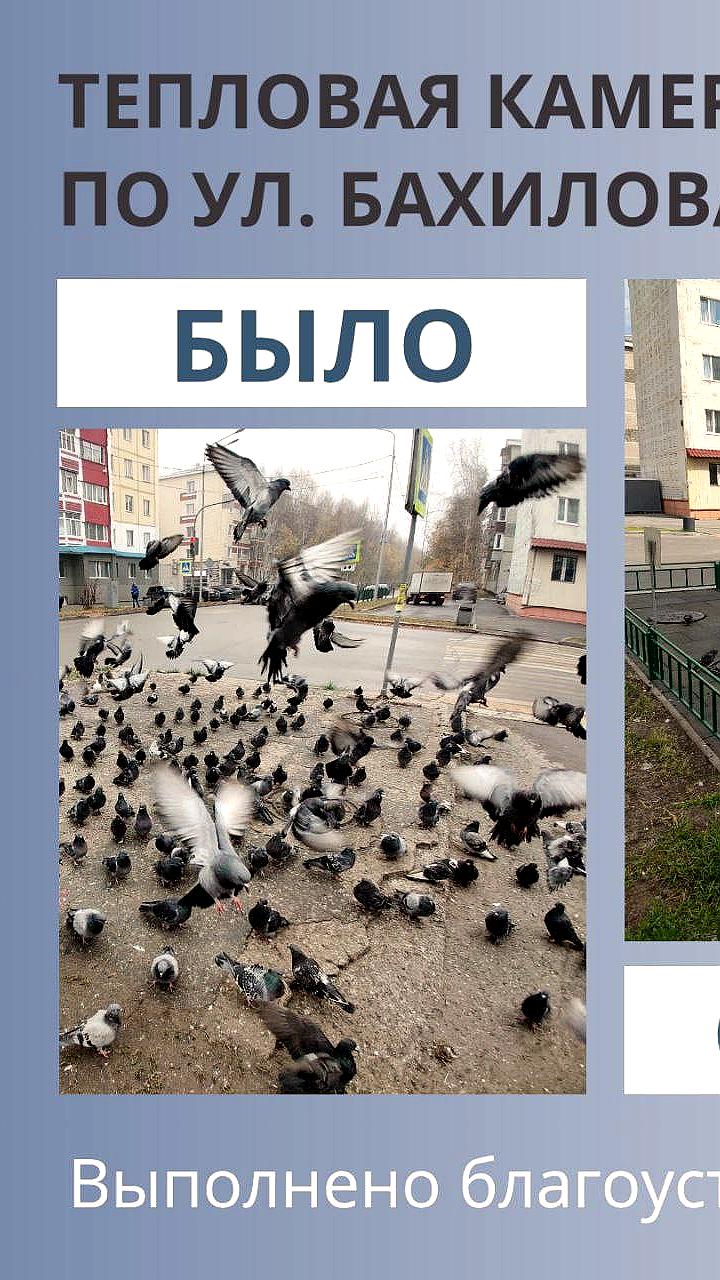 Модернизация теплосетей в Новокубанске и Карпогорах в рамках нацпроекта