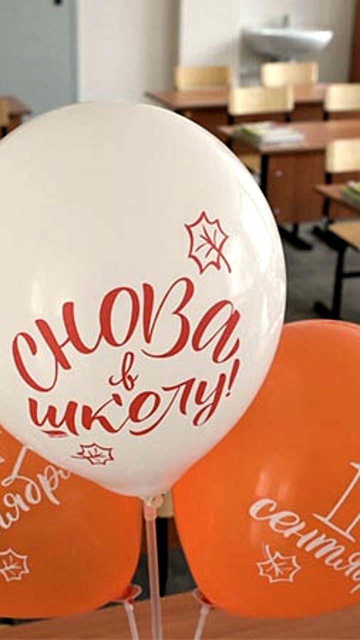 Госдума одобрила закон о допуске студентов непедагогических вузов к преподаванию в школах