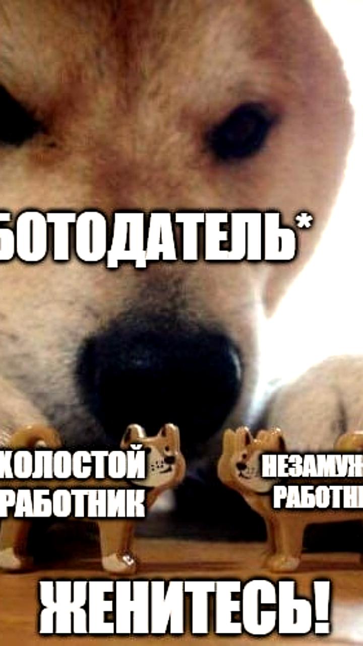 Губернатор Хабаровского края и депутат Брянской области предлагают креативные решения для улучшения демографии