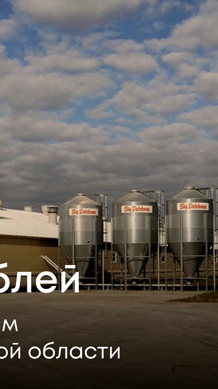 Росприроднадзор требует от «Черкизово-Свиноводство» 9,1 млн рублей за незаконную добычу воды в Воронежской области