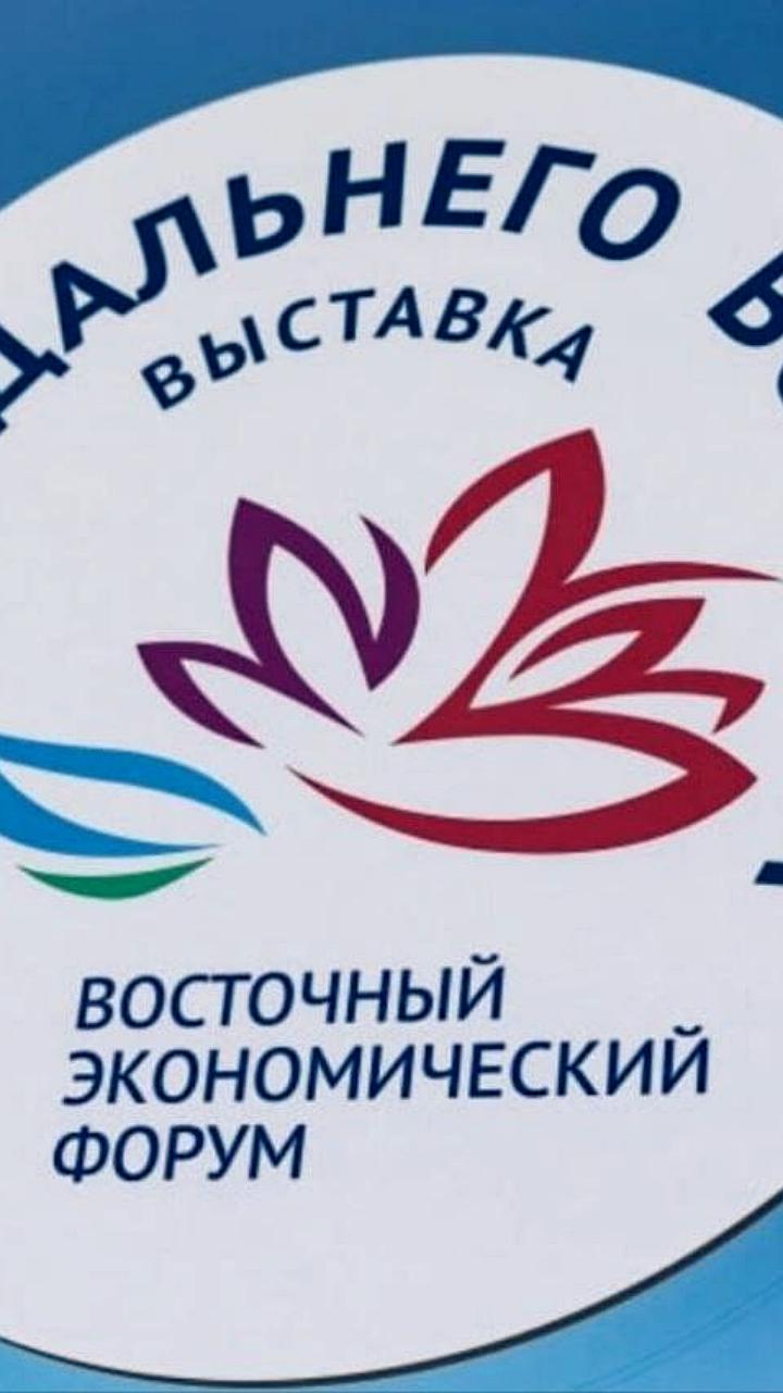 Приморье представит концепцию 'Мост будущего' на ВЭФ-2025 во Владивостоке