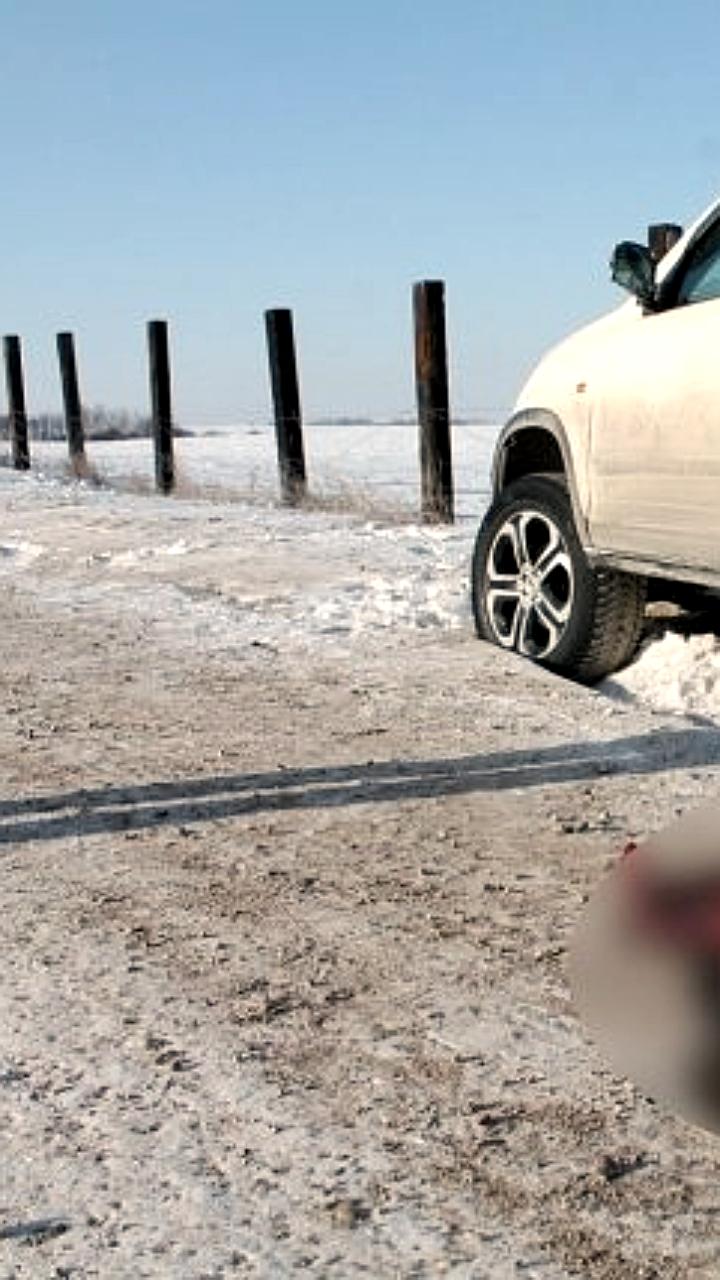 Суд вынес приговор браконьерам за убийство косули в Иркутской области