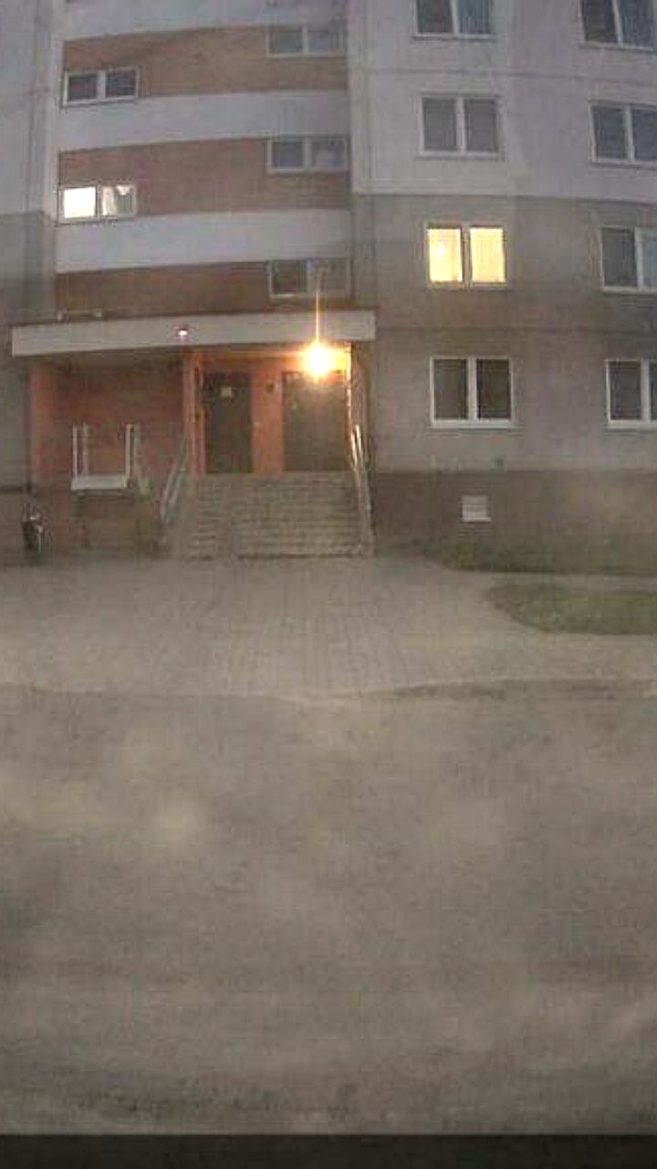 В Минске обезвредили агрессивного волка, угрожавшего жителям Сеницы