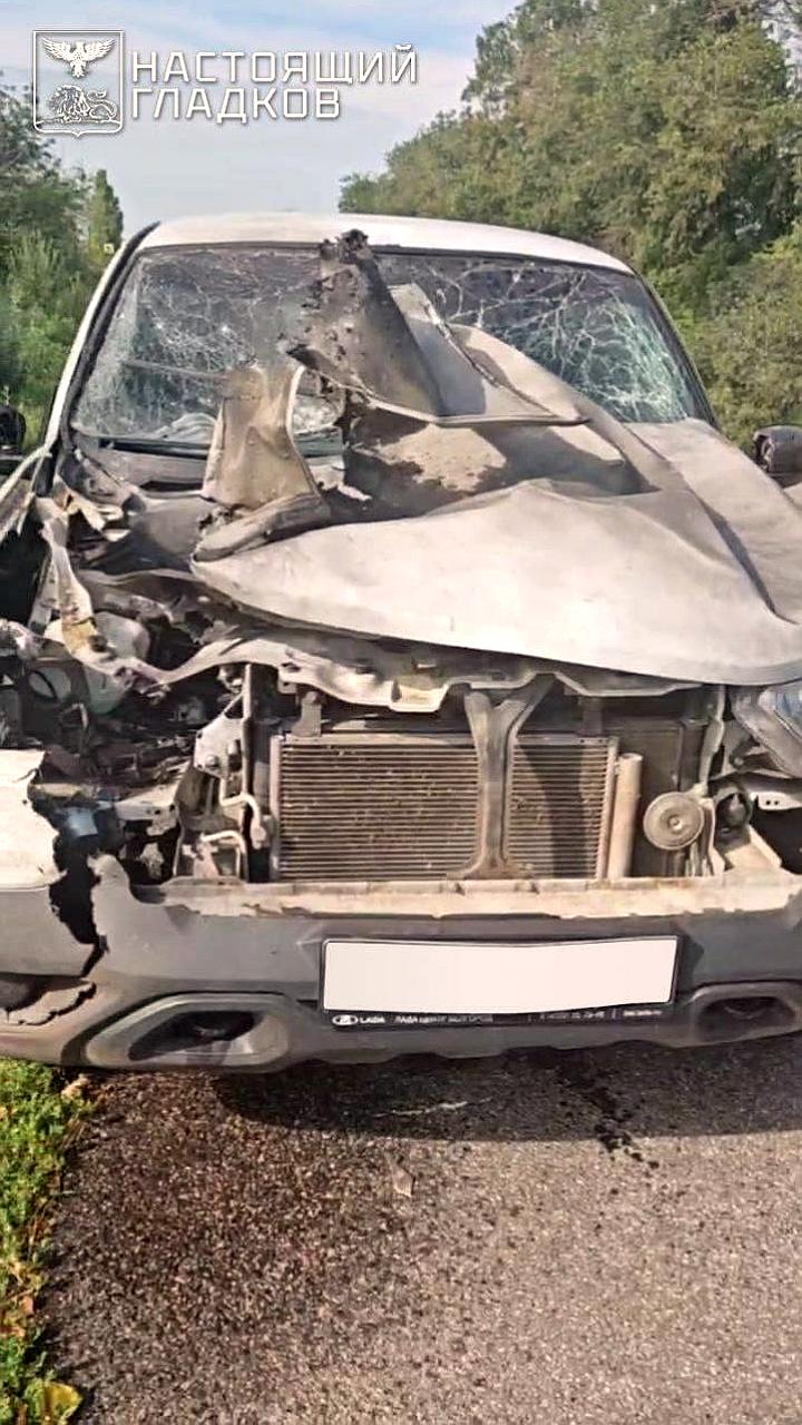 Атака дрона на автобус в Белгородской области: два пострадавших