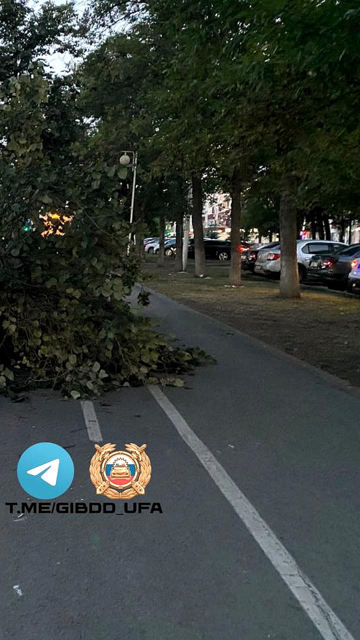 Два ДТП с пострадавшими водителями произошли в Уфе и Тамбове