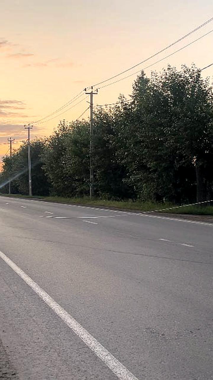 Два ДТП с лошадьми в Бурятии: пострадавшие семьи и безнадзорные животные