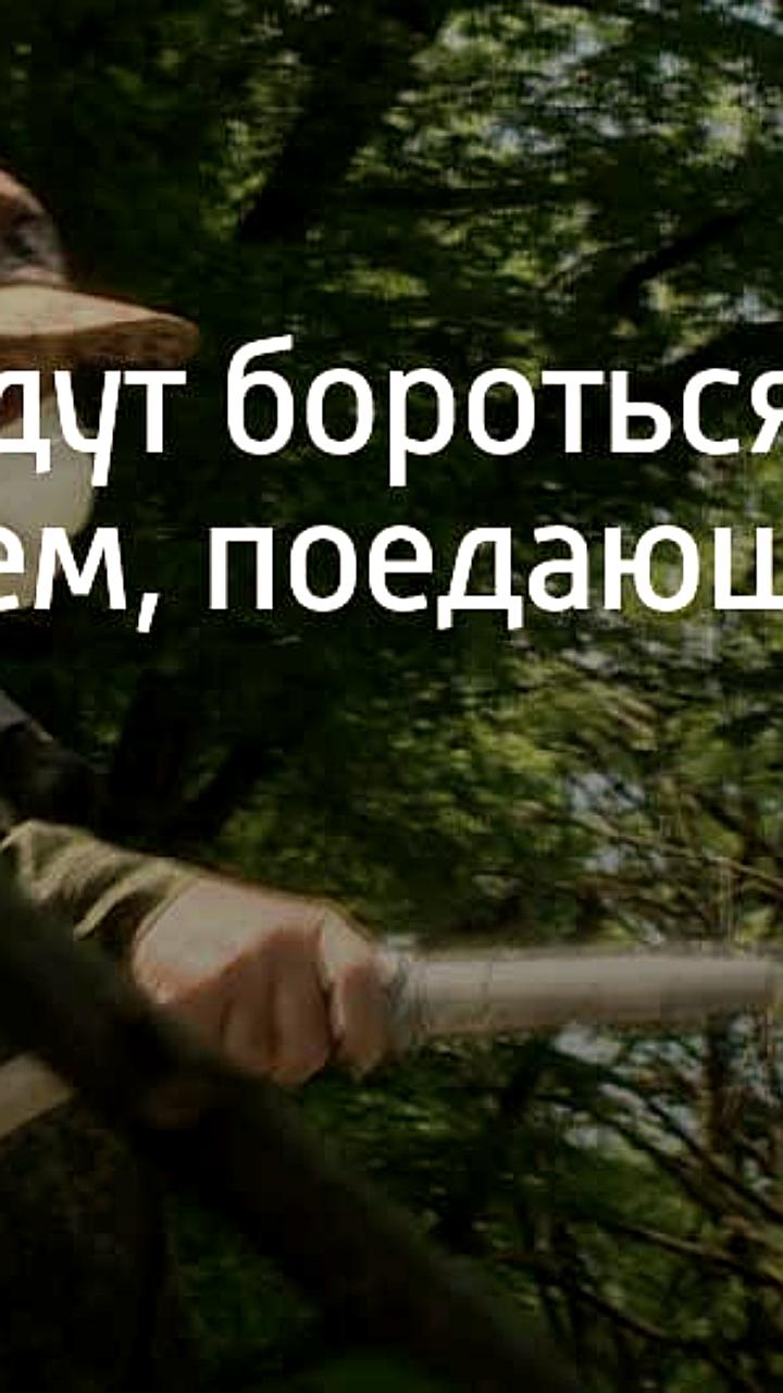 Оперативная уборка аварийных деревьев в Красногорске и Скадовске обеспечивает безопасность жителей