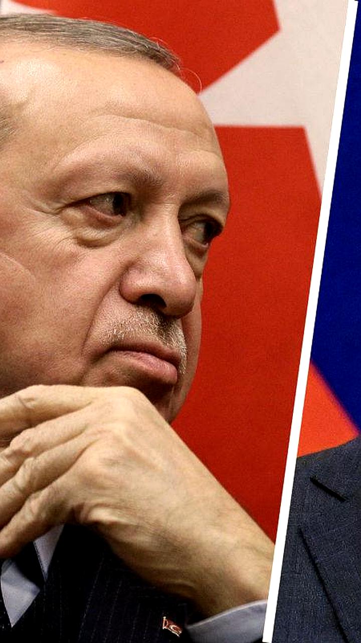 Путин и Эрдоган обсудили двусторонние отношения и ситуацию в Украине