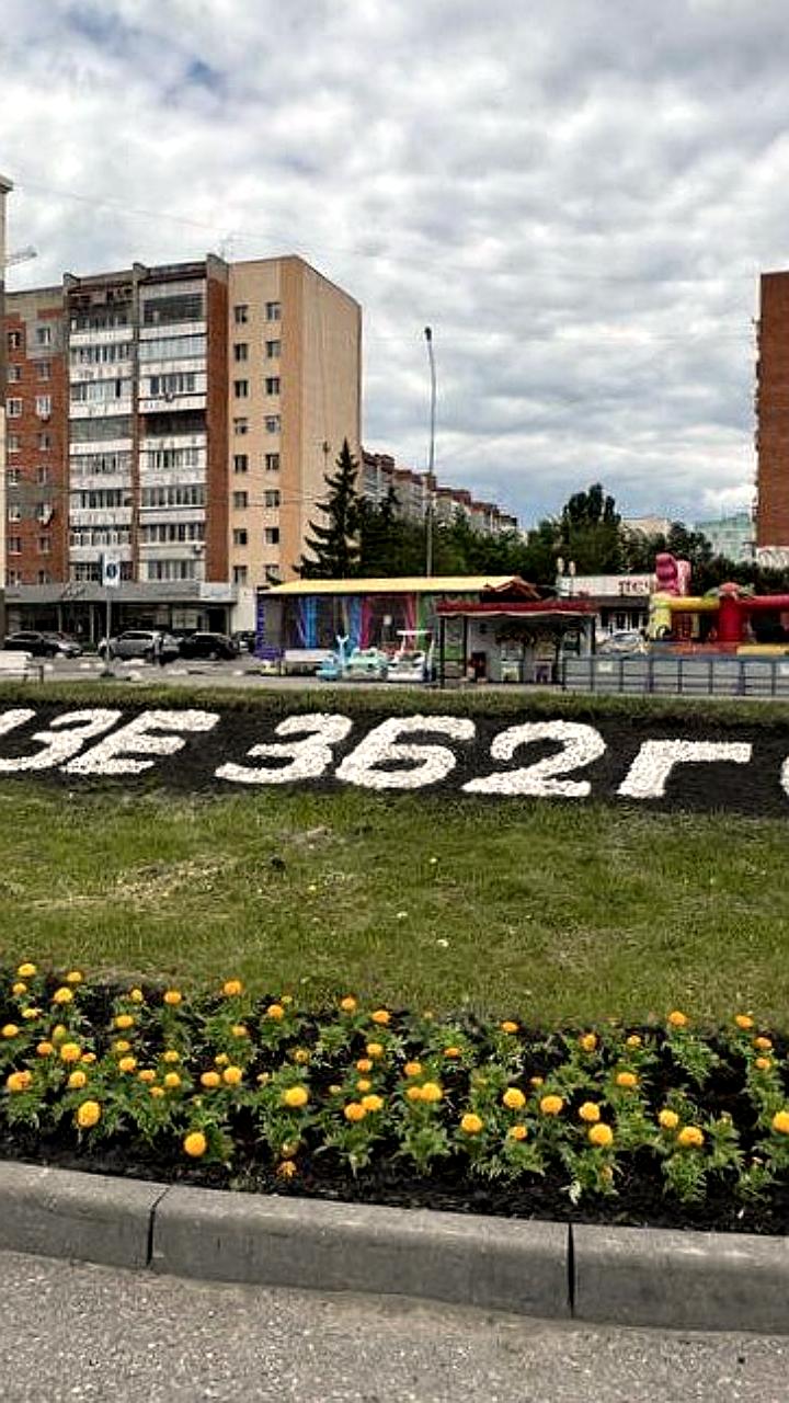 Новый подрядчик приступил к озеленению бульвара на ул. Плеханова