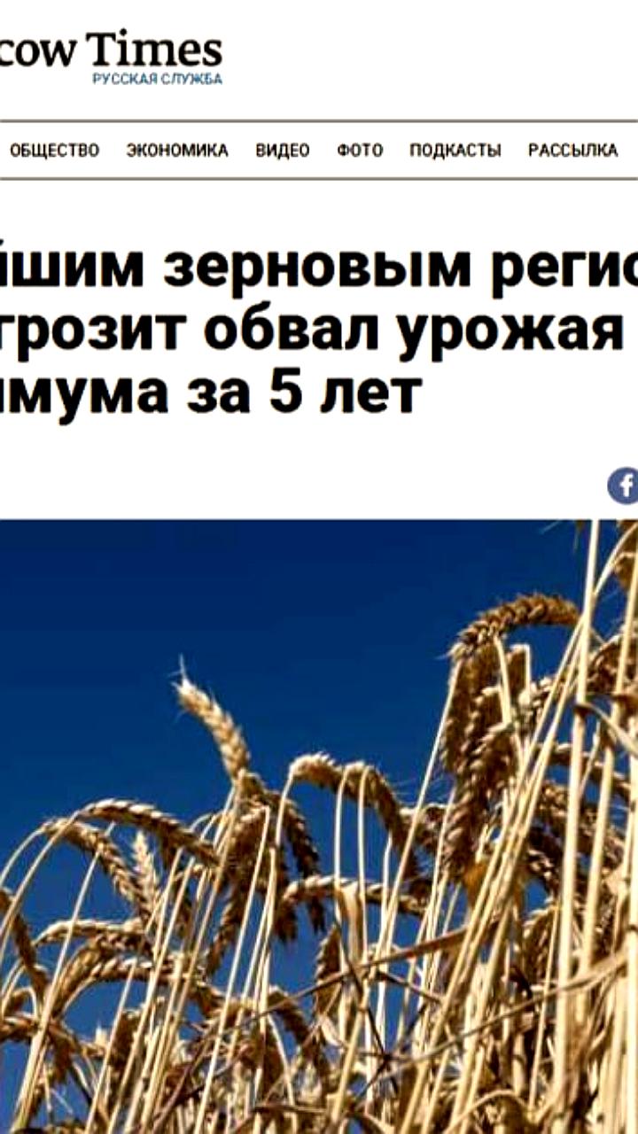 Сбор зерна в России снижен на 1 млн тонн из-за погодных условий и логистических проблем