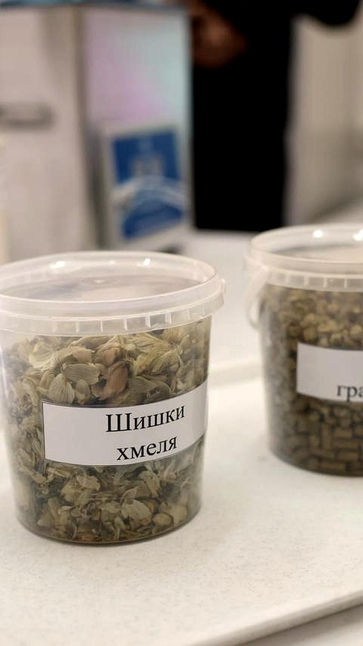 Чувашия запускает амбициозную программу развития хмелеводства с поддержкой Минобразования и инвесторов