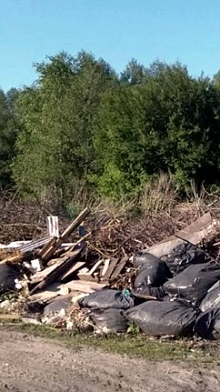 В Касимове и Железнодорожном районе ликвидированы несанкционированные свалки