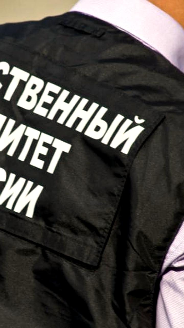 Проверка действий подростков в Выксе: СК России требует доклад