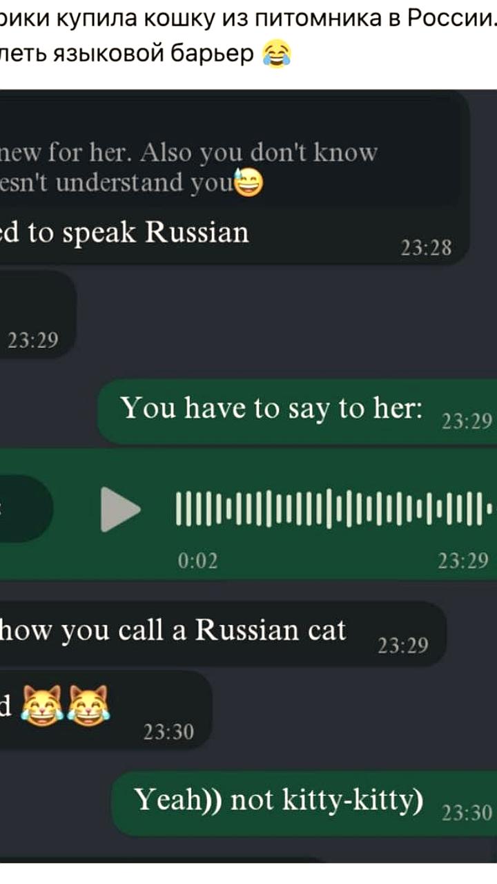 Американка учит русскую кошку откликаться на 'ксс-ксс'
