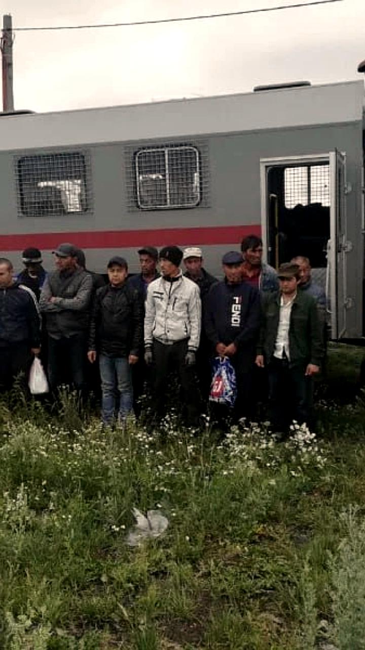 Опрос: Россияне о миграции и её влиянии на общество