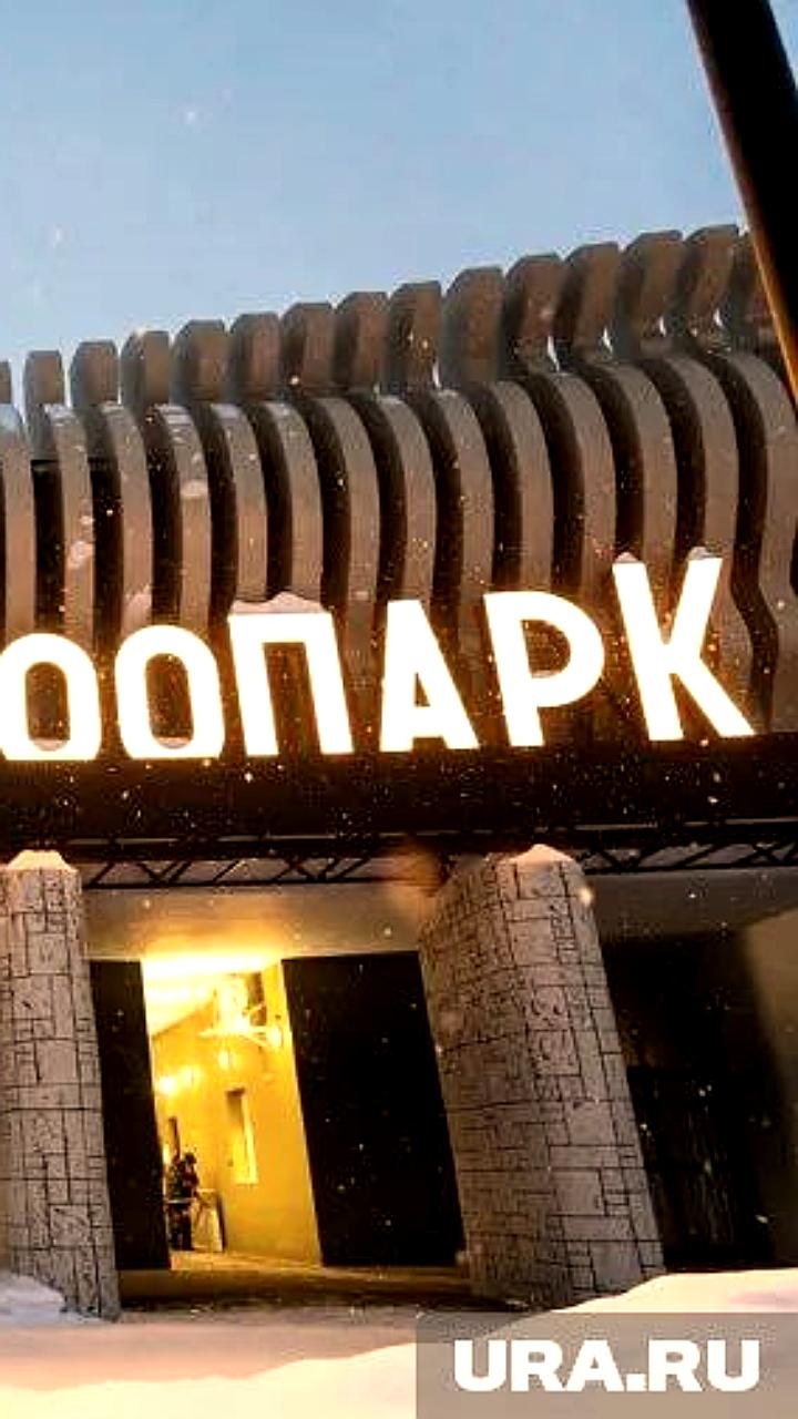 Пермский зоопарк готовится к торжественному открытию новой площадки с бюджетом 600 тыс. рублей
