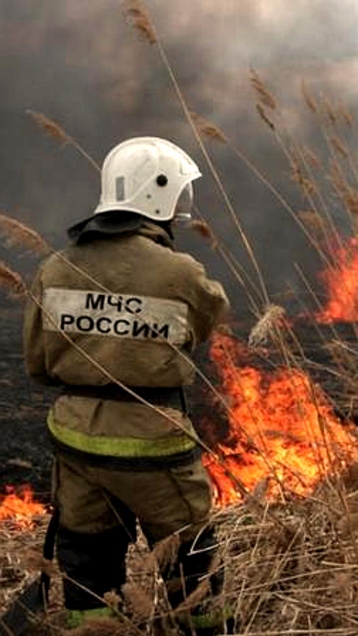 Чрезвычайная пожарная опасность в ЛНР и ДНР в выходные дни