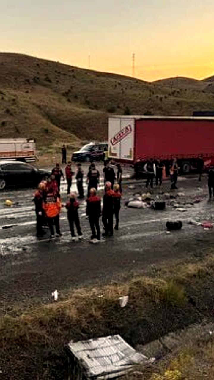 Четыре человека погибли и 33 пострадали в ДТП с автобусом в Турции