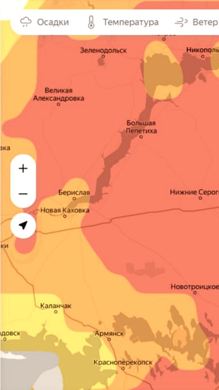 В Волгоградской области объявлен красный уровень концентрации аллергенной пыльцы