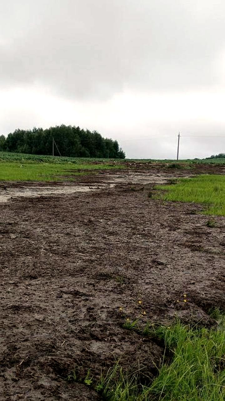 Загрязнение реки Литовка: местные жители сообщают о сбросе грязных вод