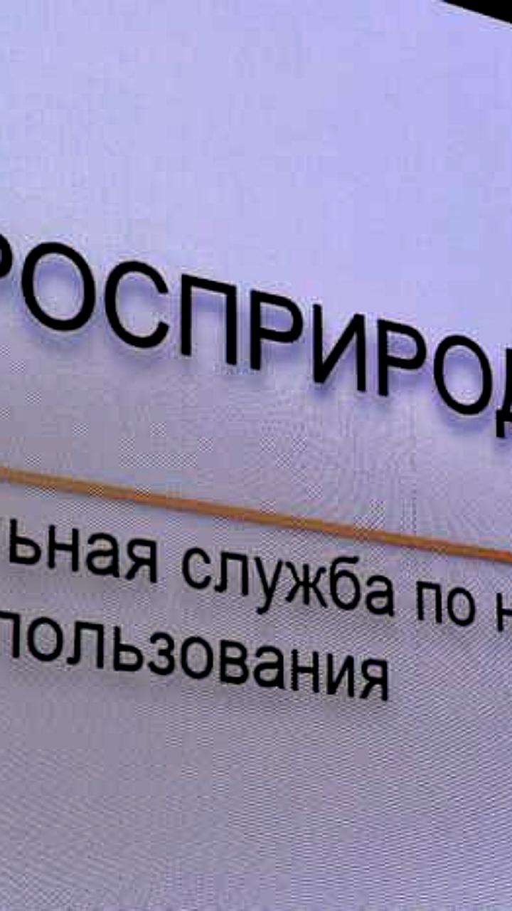 Жители Татарстана и Невьянска требуют улучшения жилищных условий и состояния дорог