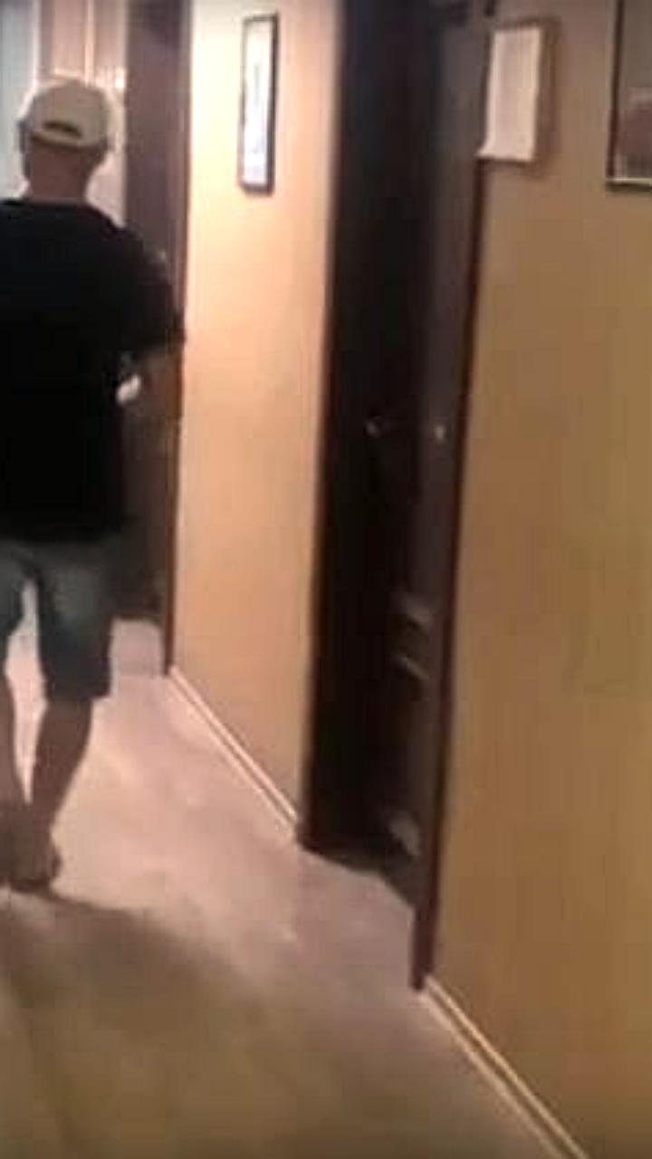В Батайске найден убитый осел, ранее ставший жертвой жестокого обращения